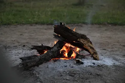 DSC_3708 (Large).JPG